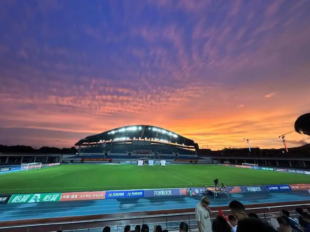 雨燕直播免费看